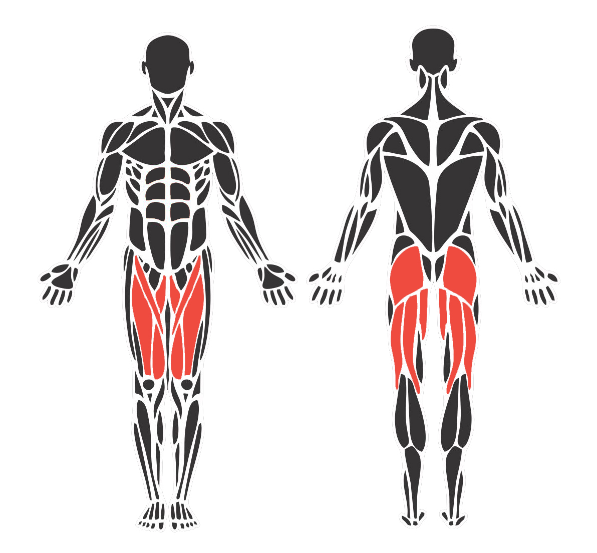 Leg Press Horizontal